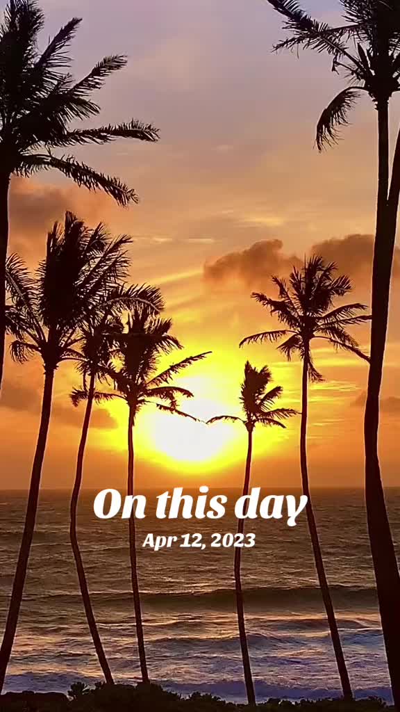 @Aaron🌴808