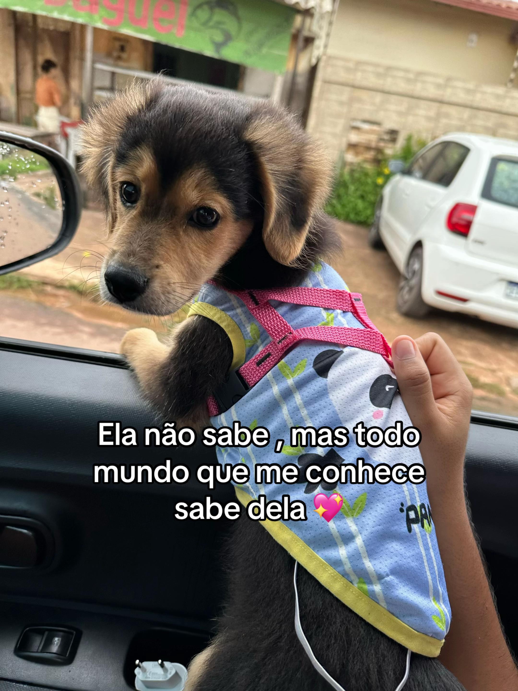 @andressa_stm