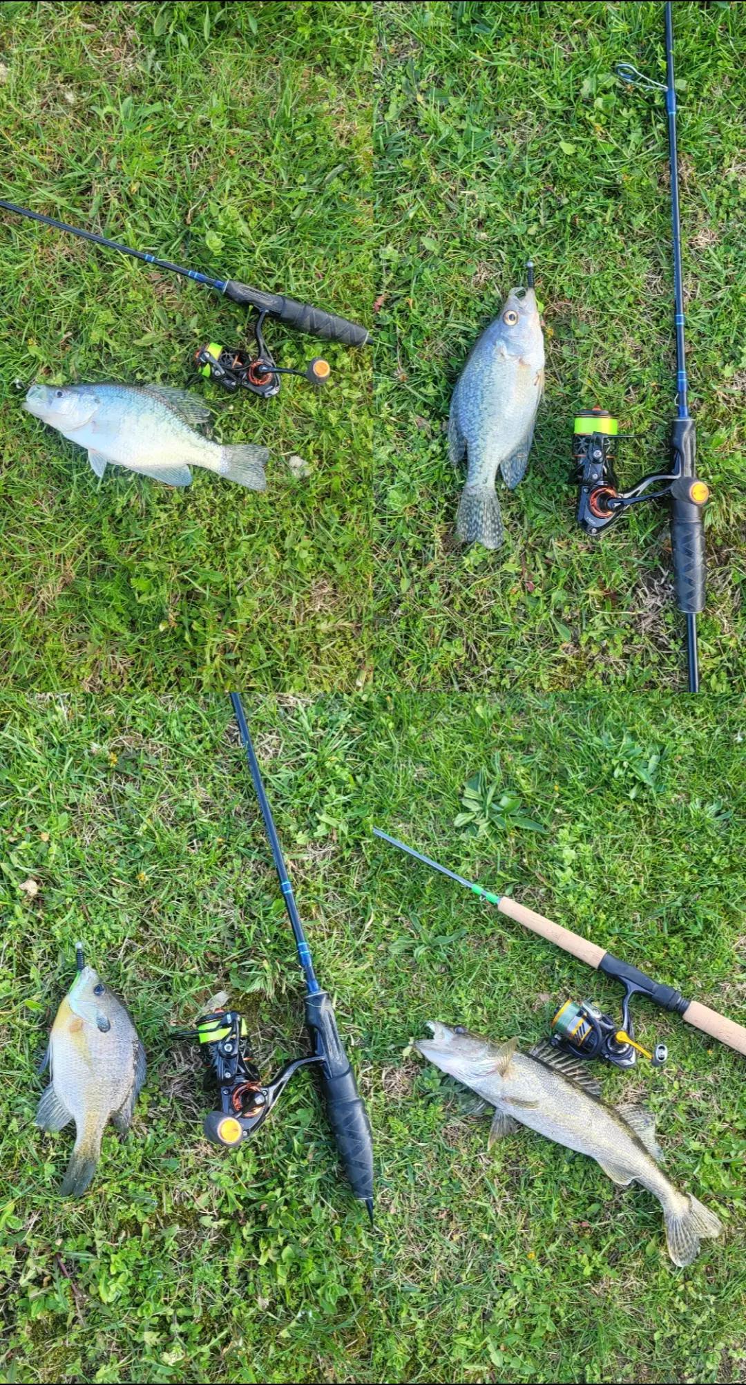 @ohio_fishermn76