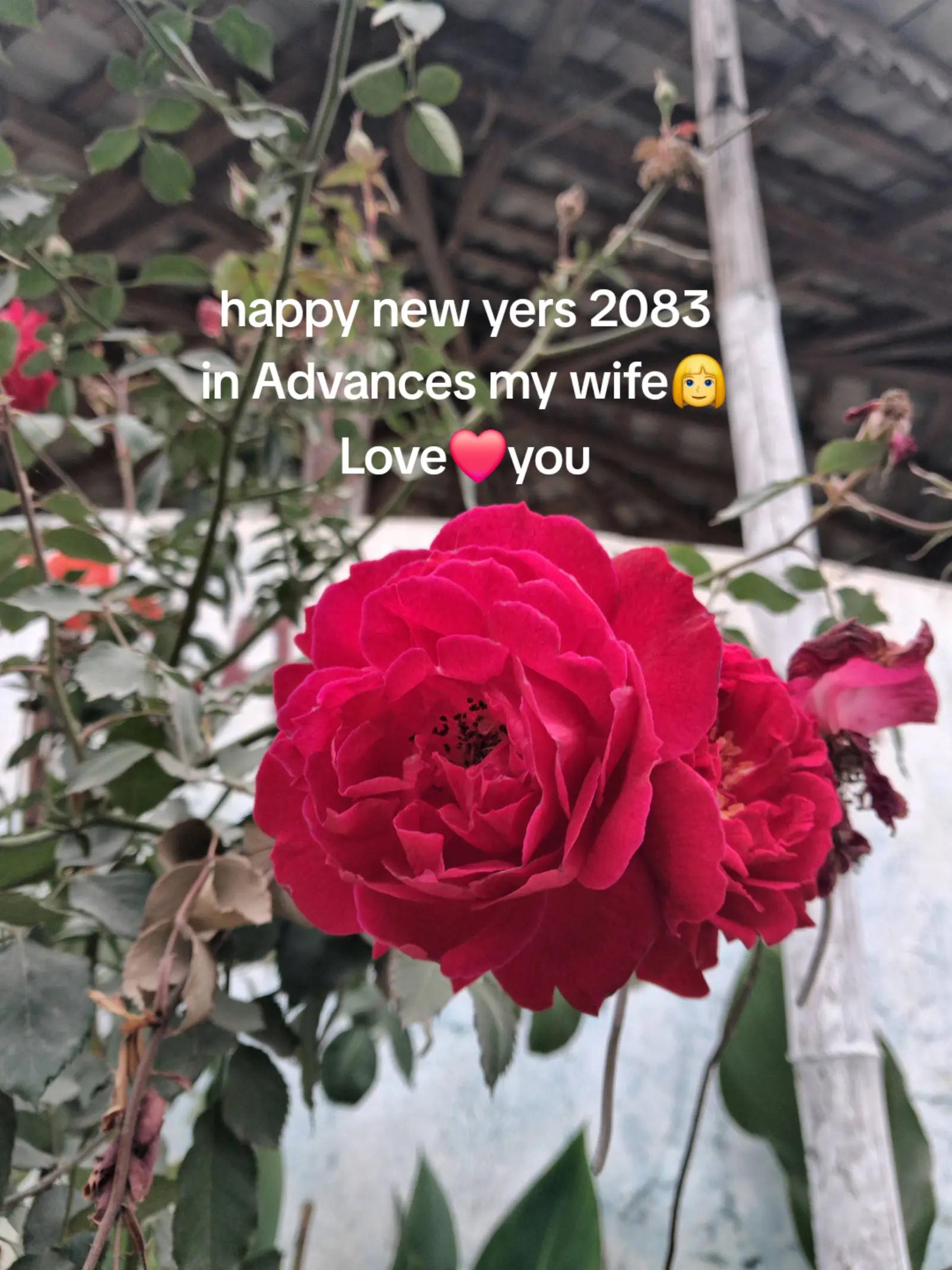 @Husband❤️Wife