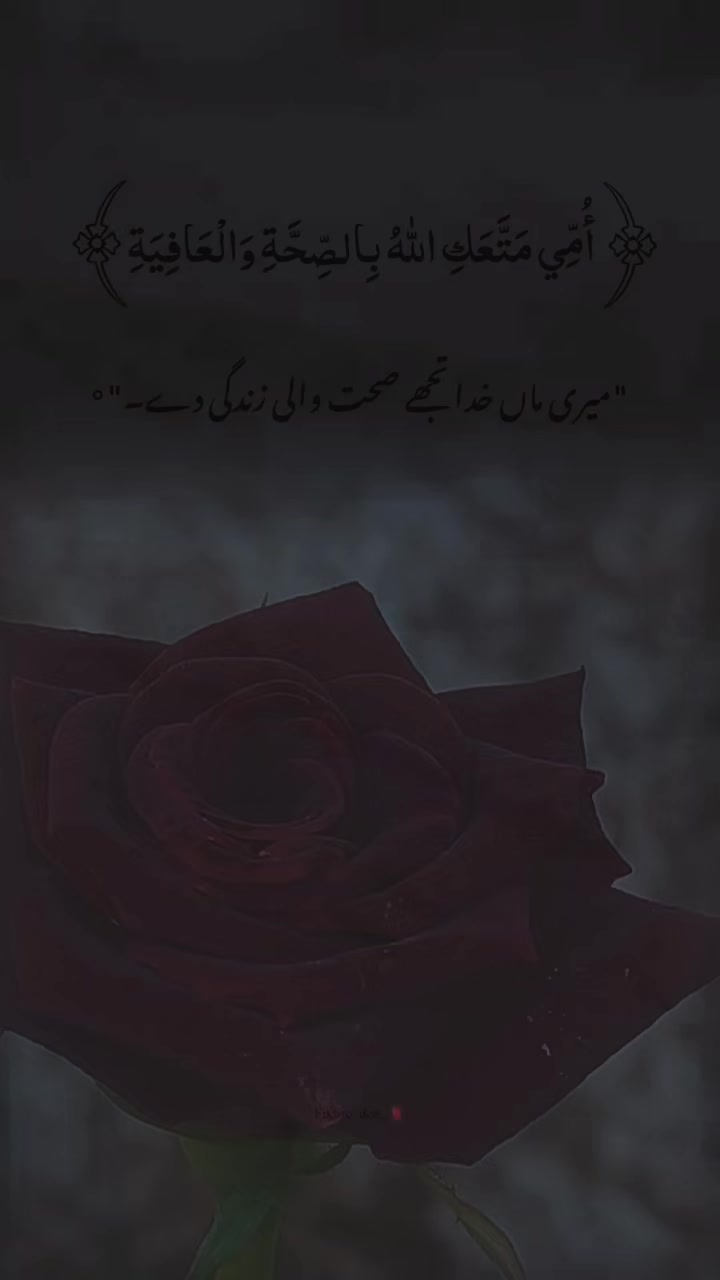 @shahzain