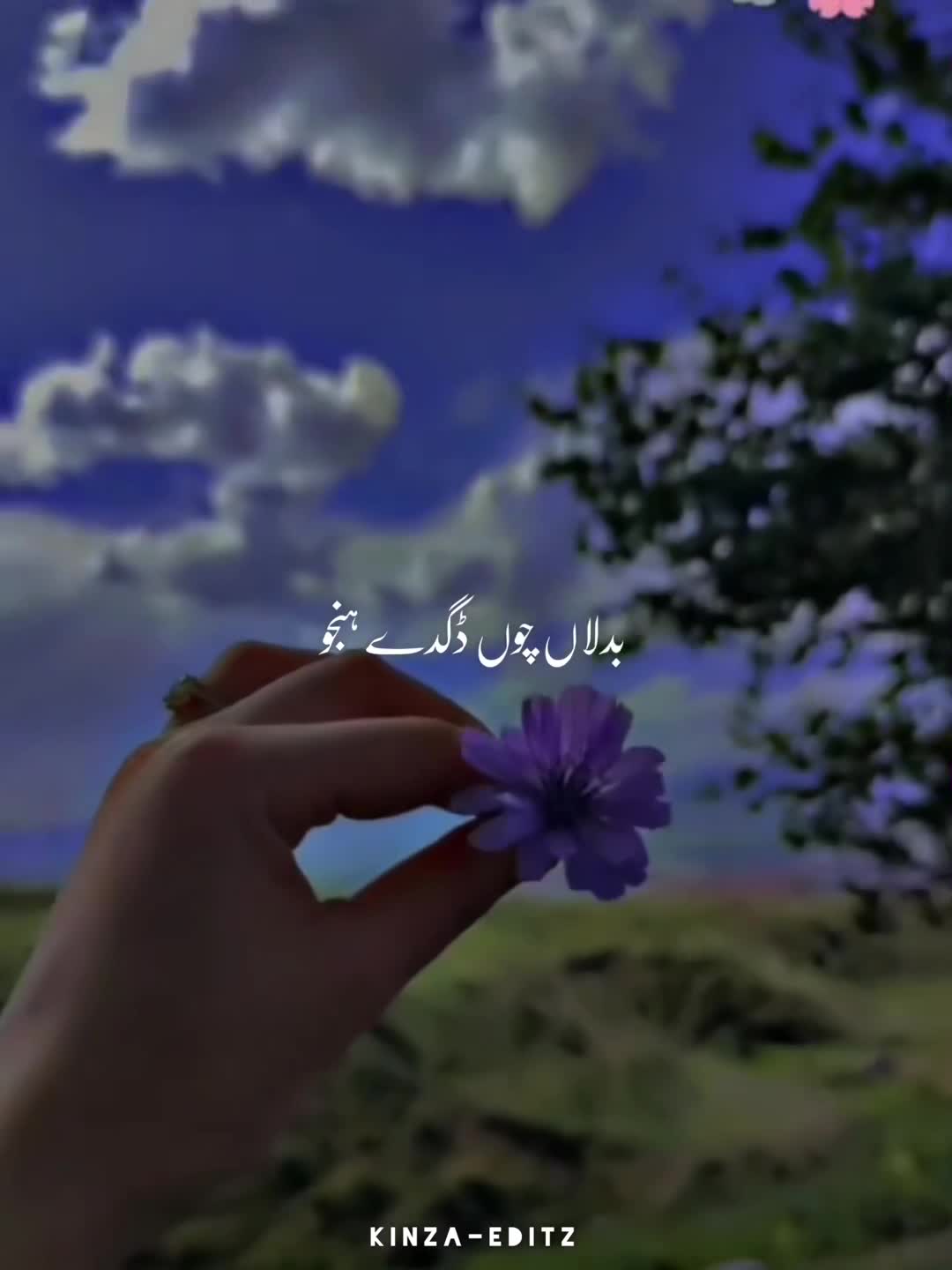 @KINZA-EDITZ