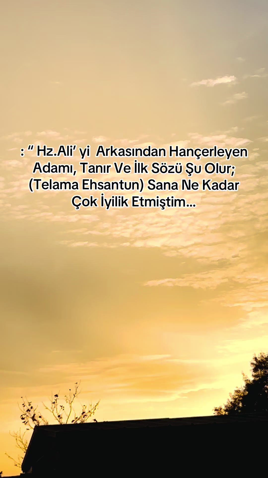 @storhanem63.01