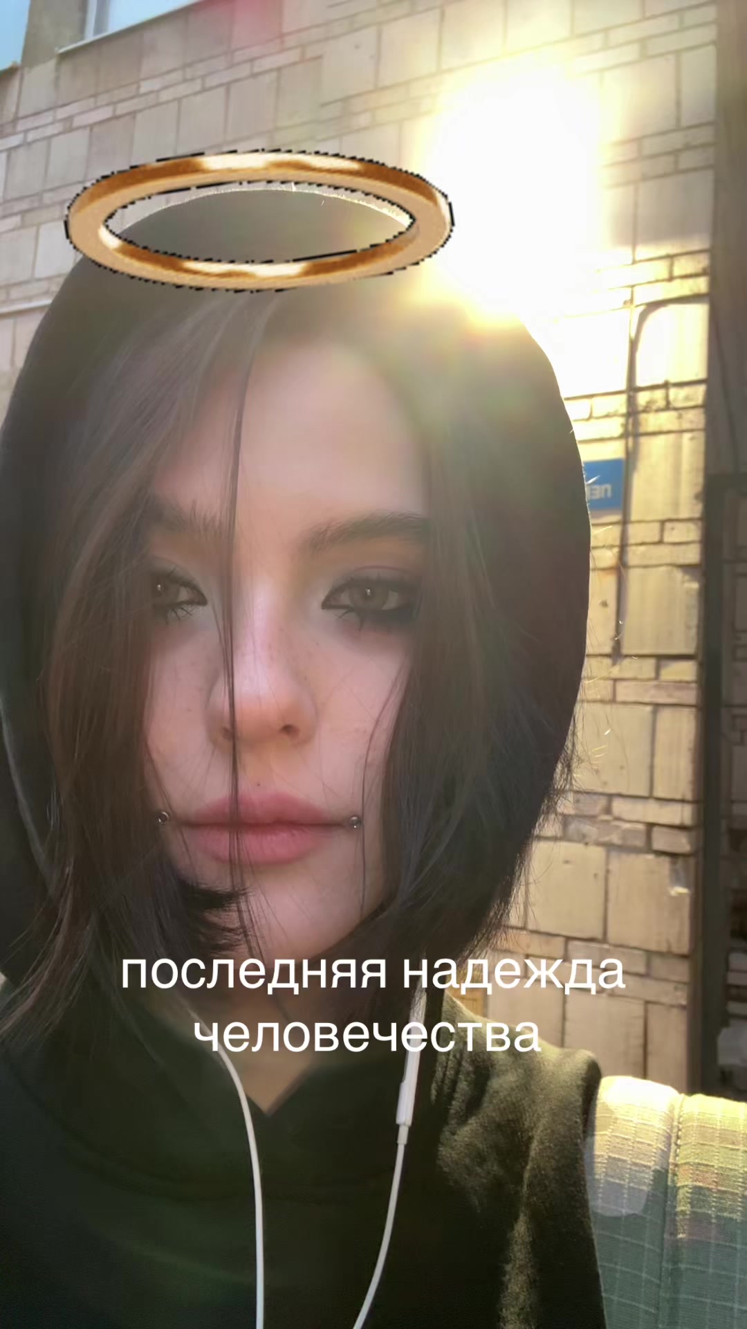 @insect.god