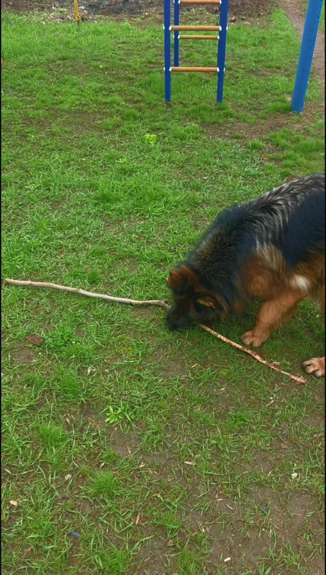 @🐶Людмила😺