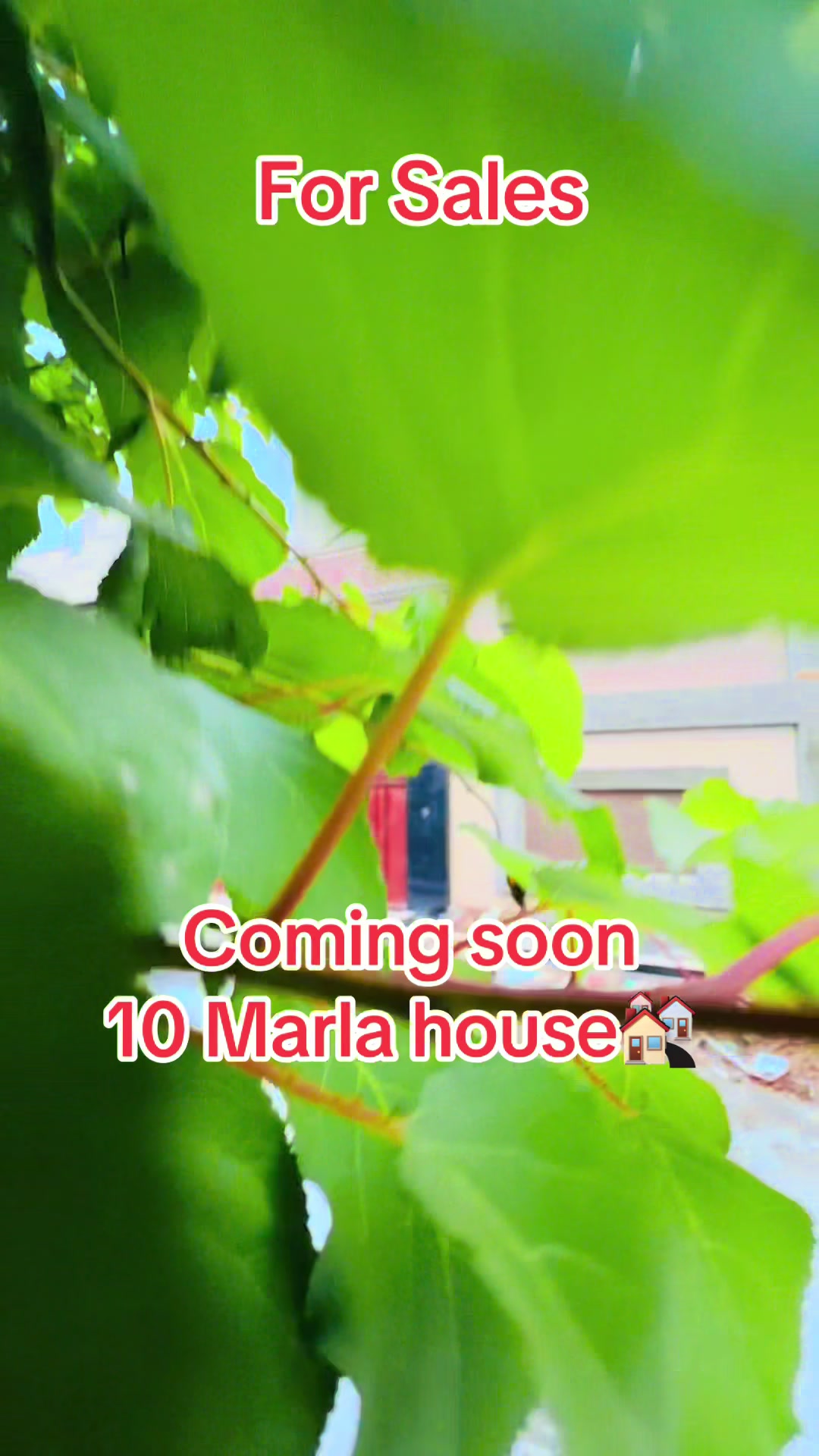 @wadanrealestate