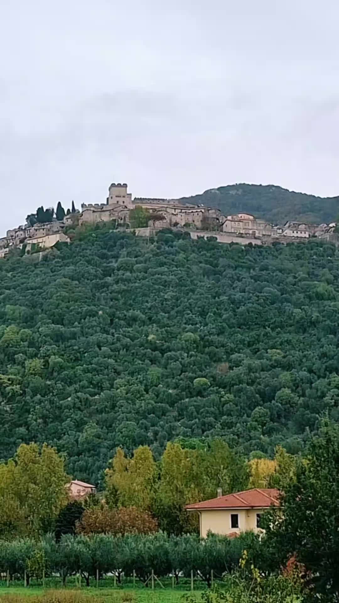 @Cristina Valentina