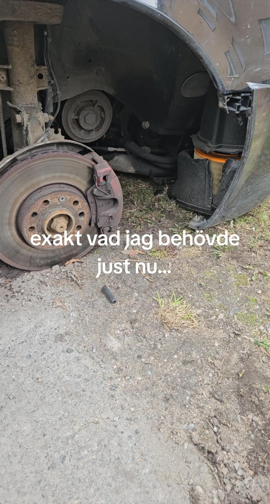 @🇸🇪Riktiga Tiger🇸🇪
