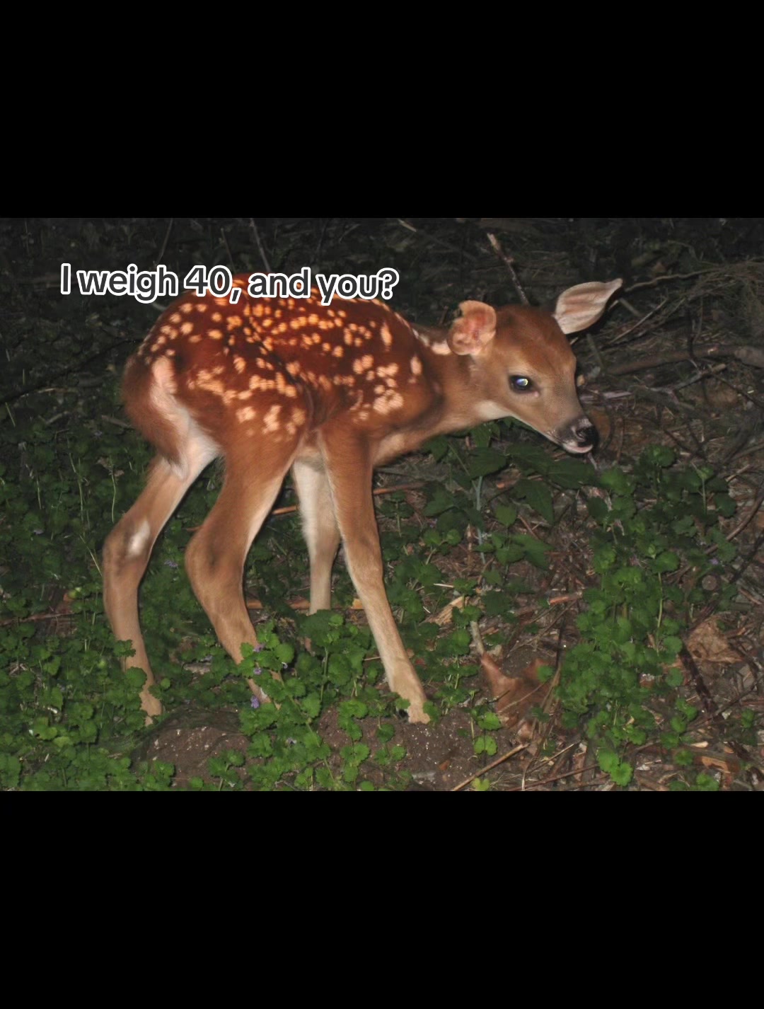 @☆
