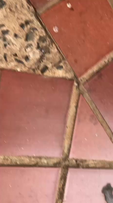 @S.P.M😶&zwj;🌫️