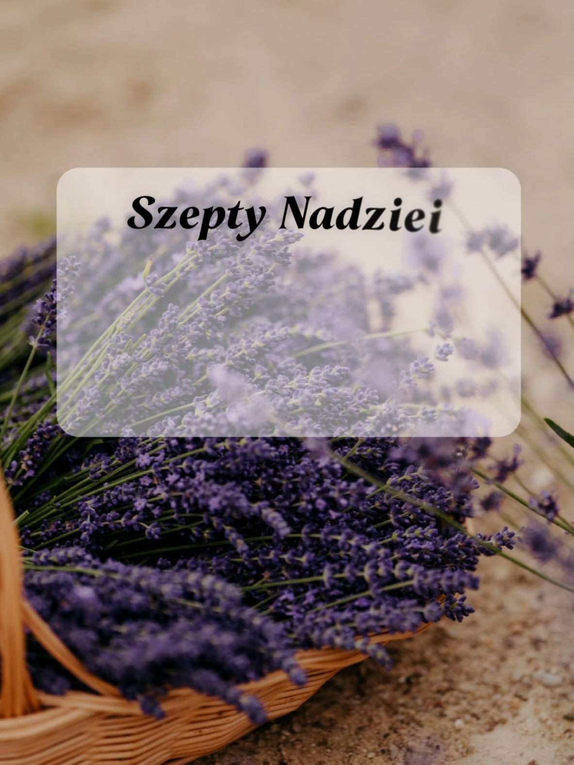 @Ewa Skrzypczyńska