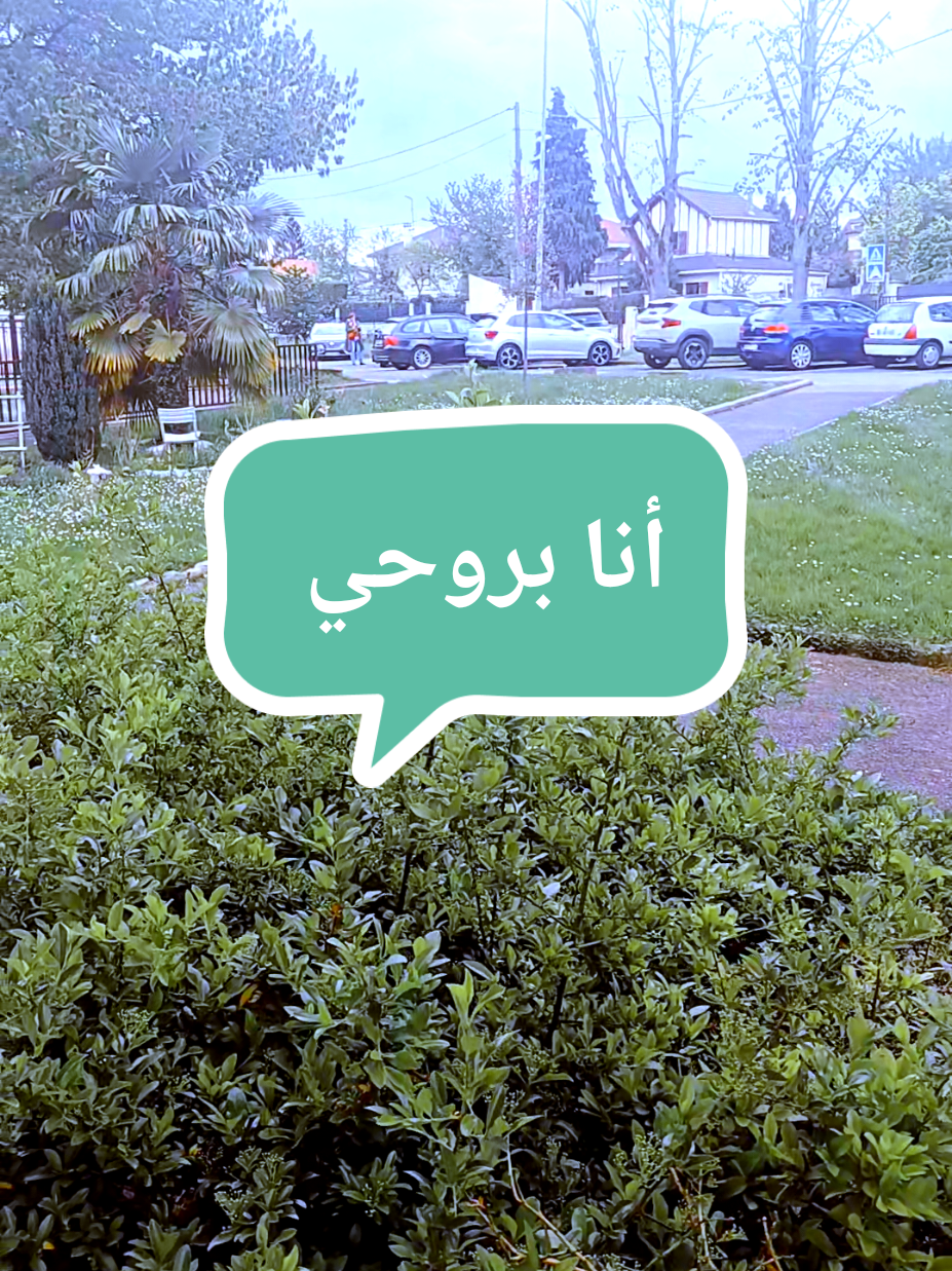 @JOUMANAمصممة سلطانة شيرين