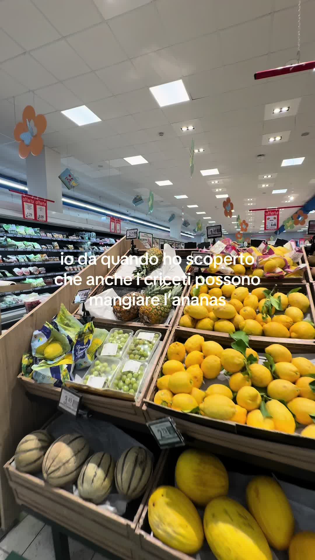 @R&iacute;