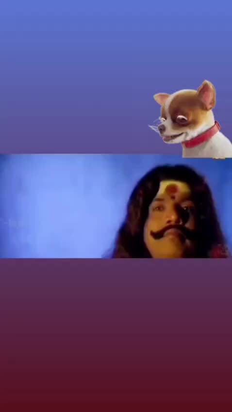 @Vinesh