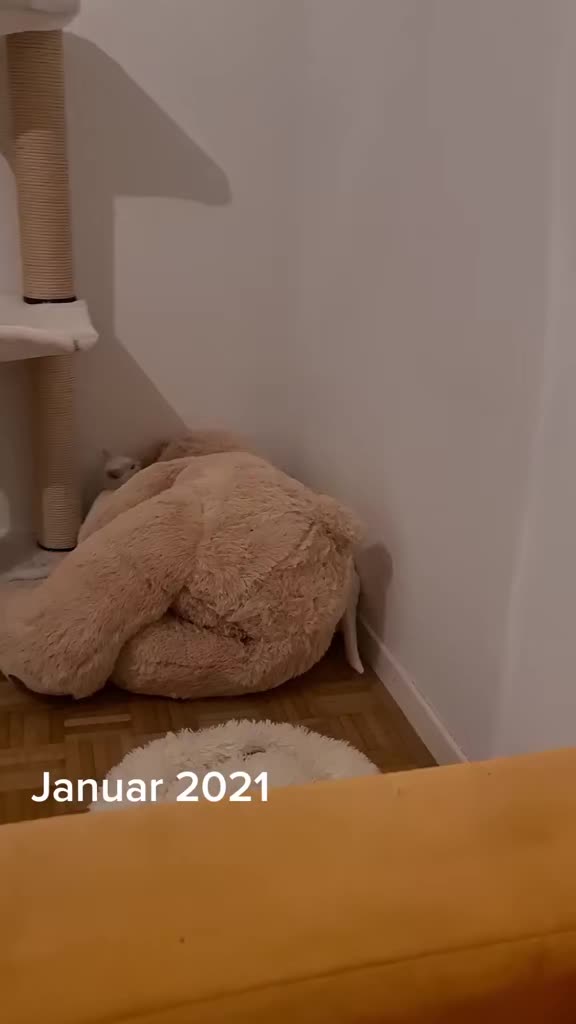 @Sonja