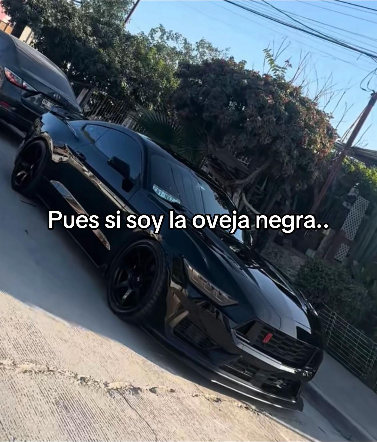 @Alancoma1