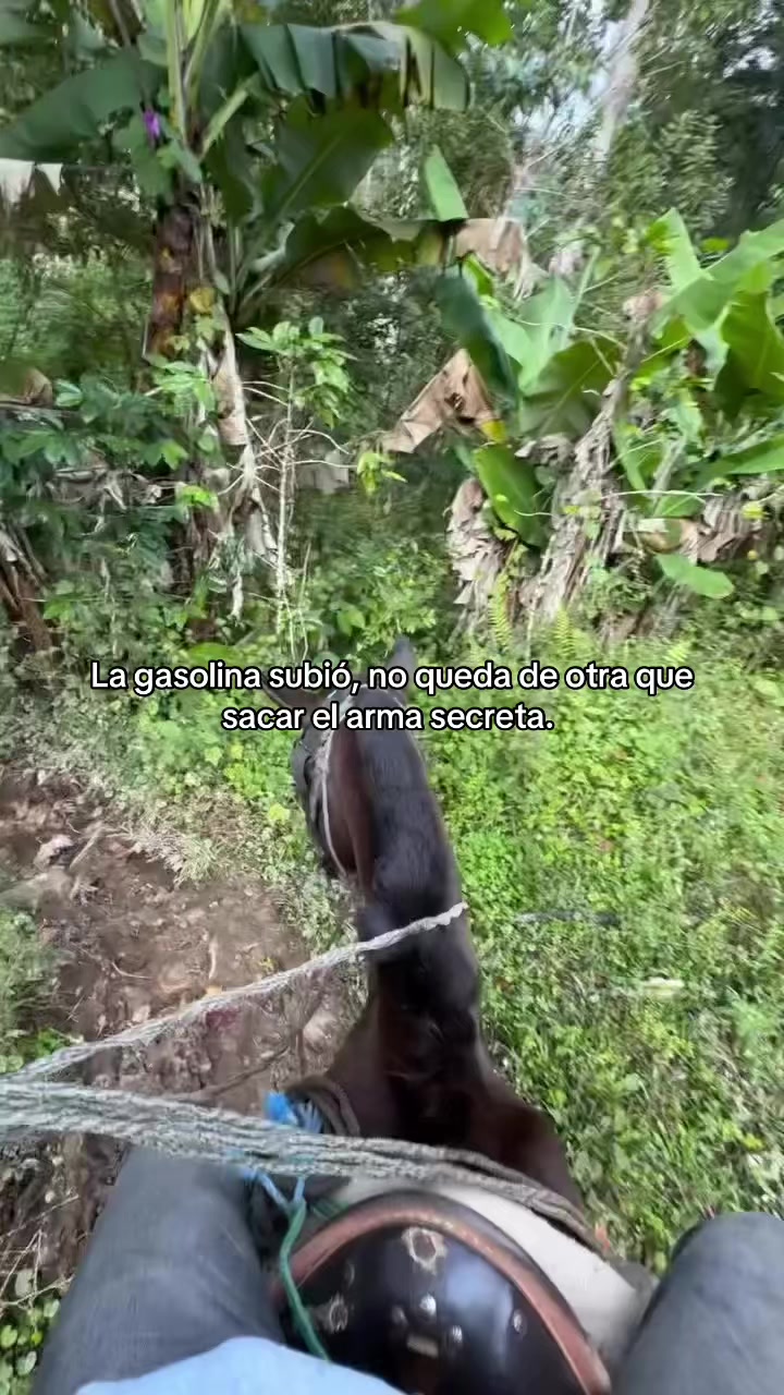 @Jonathan Romero
