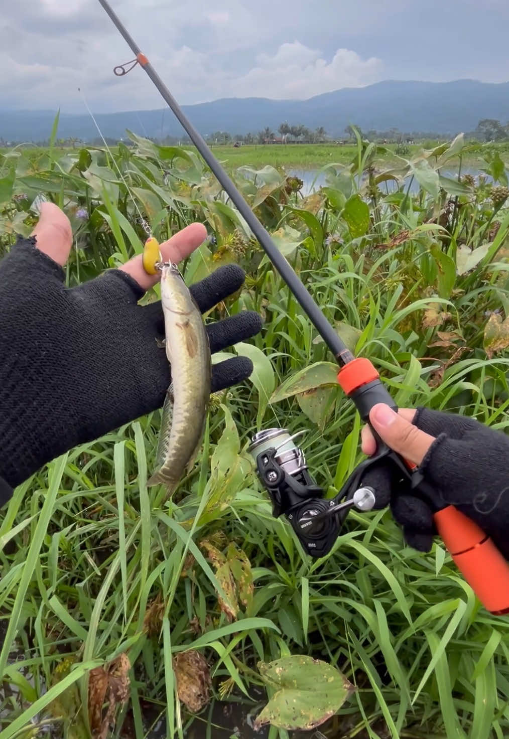 @Andalan Mancing