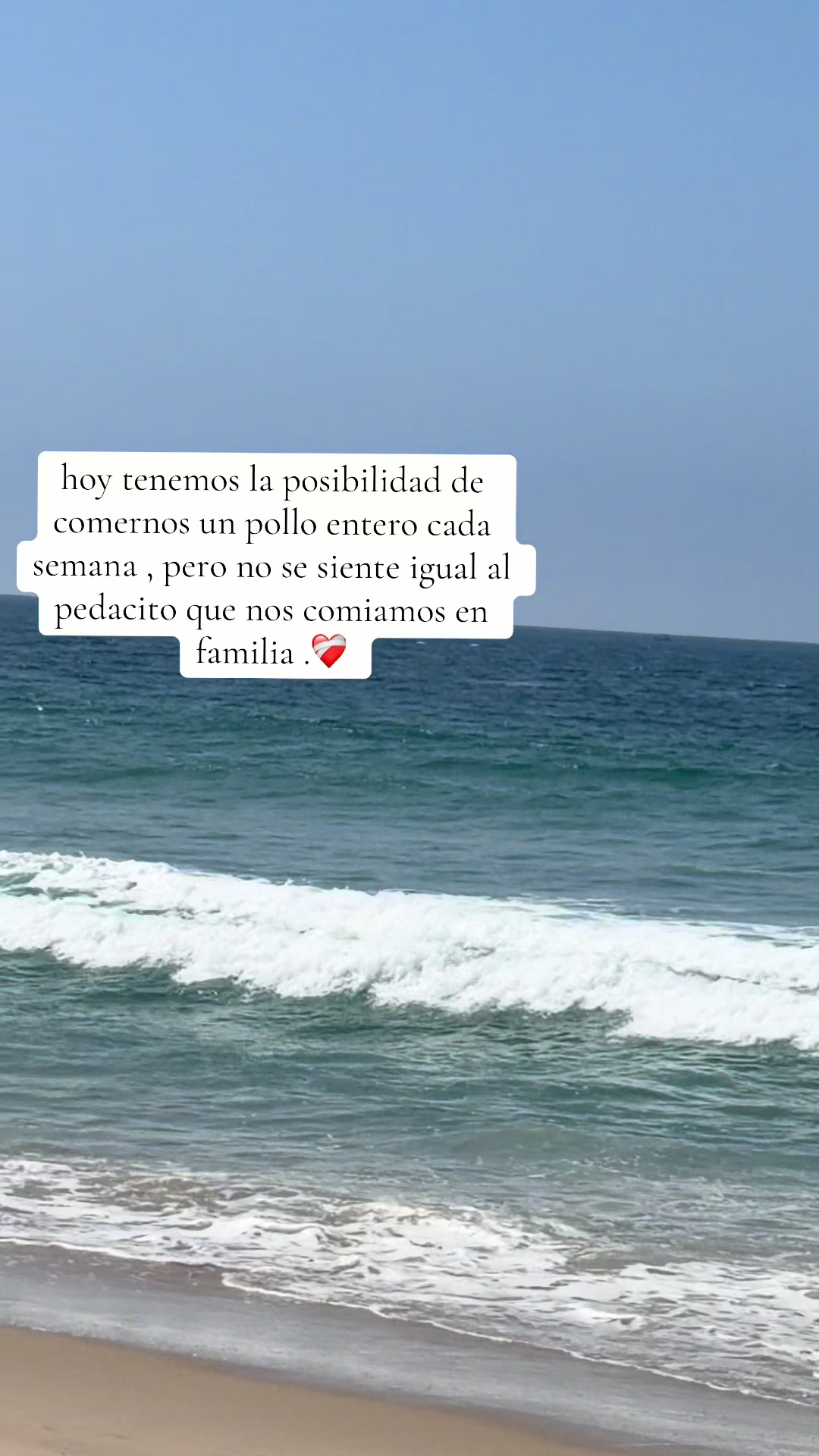 @Odalis Chinchilla202