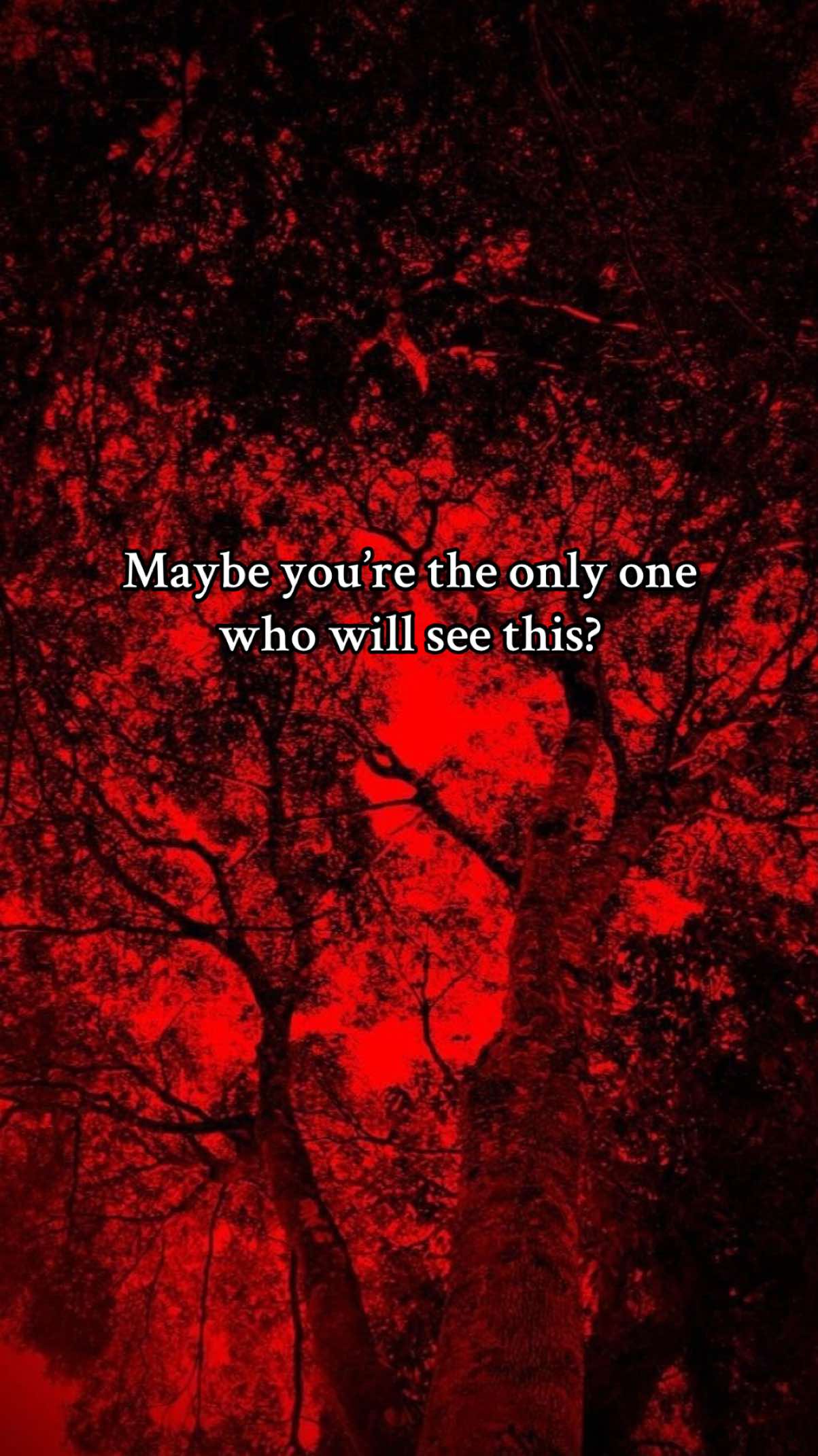 @Kiyo