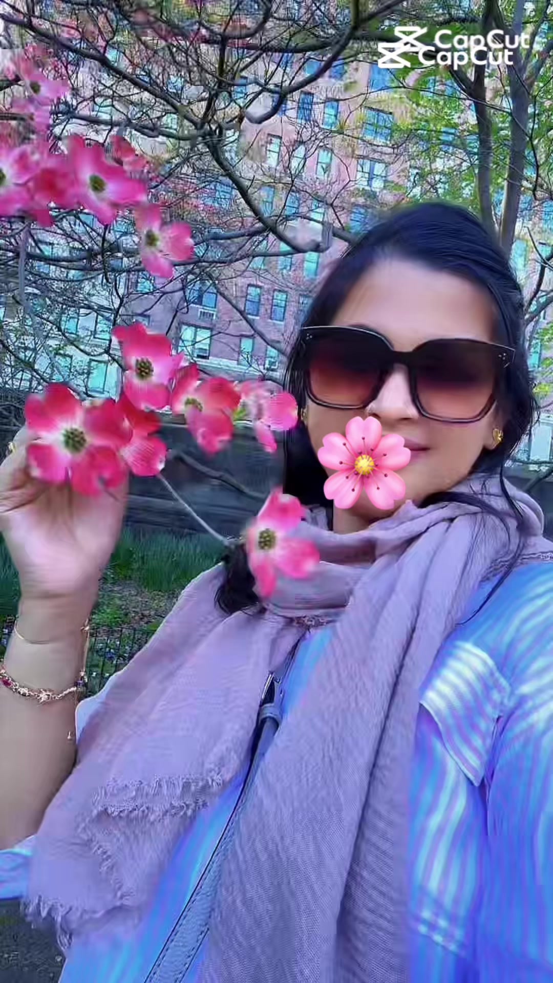 @🦋