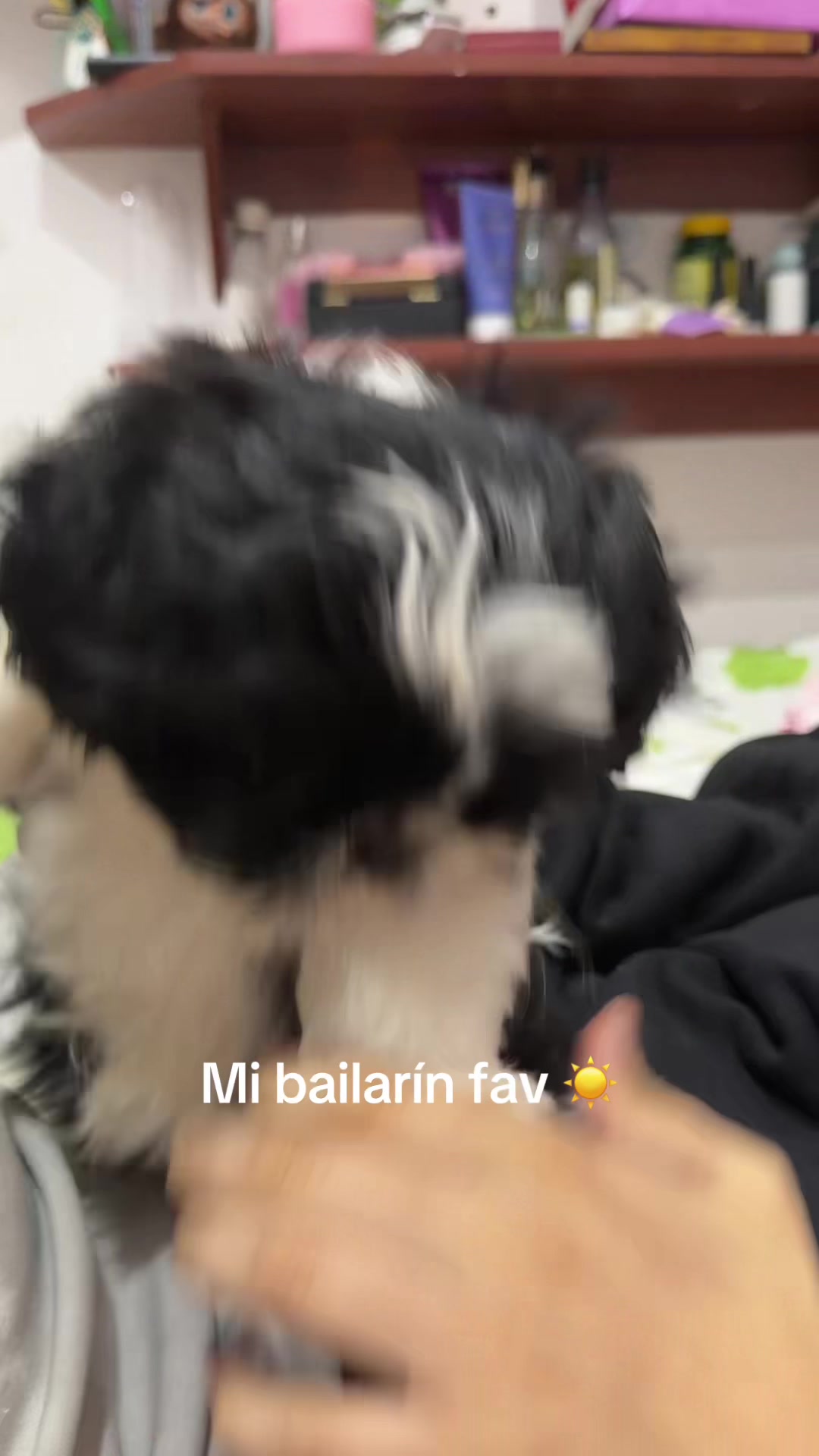 @D A N O N I N O :)