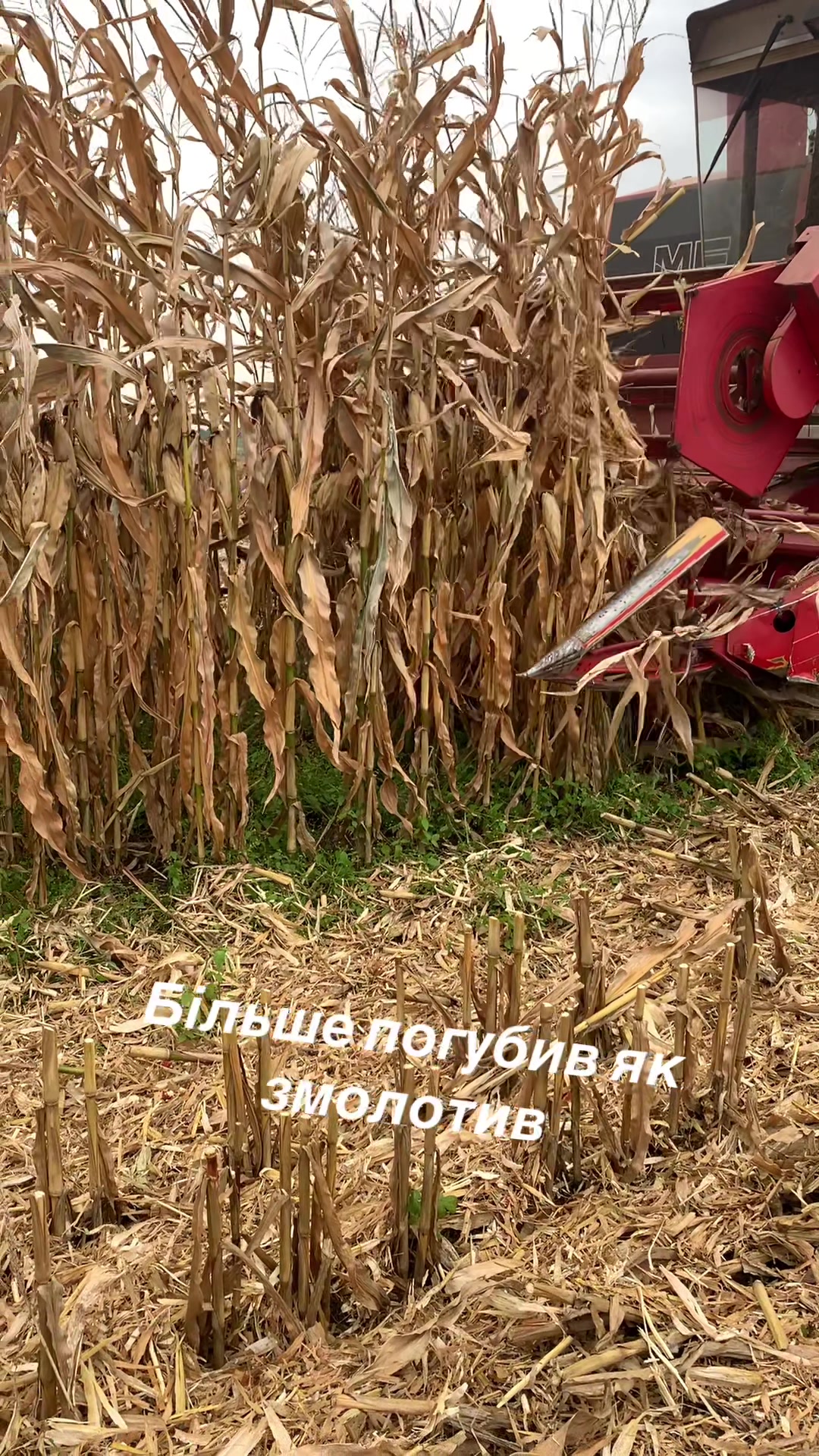 @🌾Богдан🌾