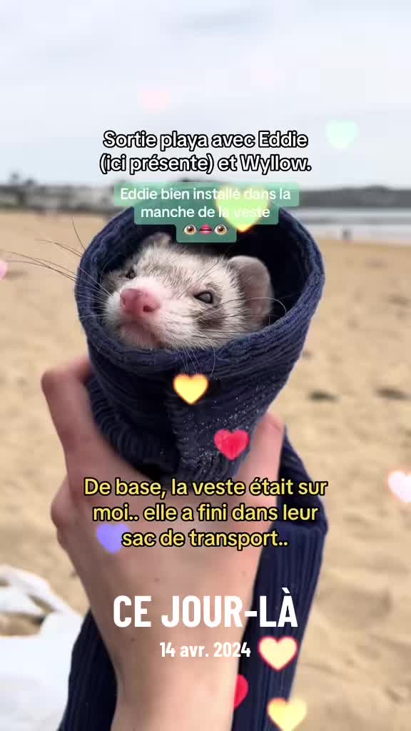 @꧁&bull;⊹٭ 𝕫𝕒𝕥𝕚𝕡𝕪𝕔𝕒𝕝٭⊹&bull;꧂