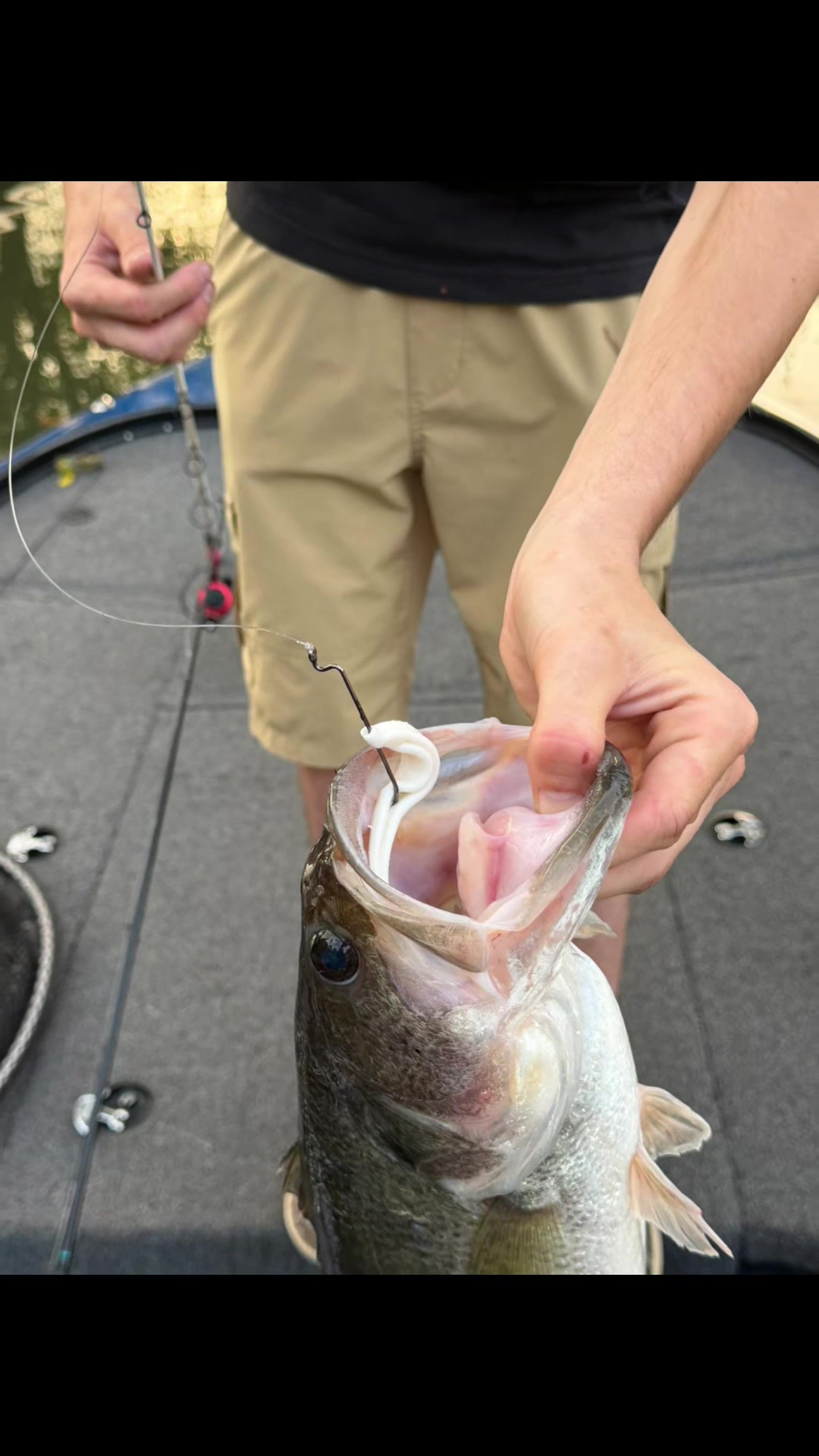 @WiCo Fishing products