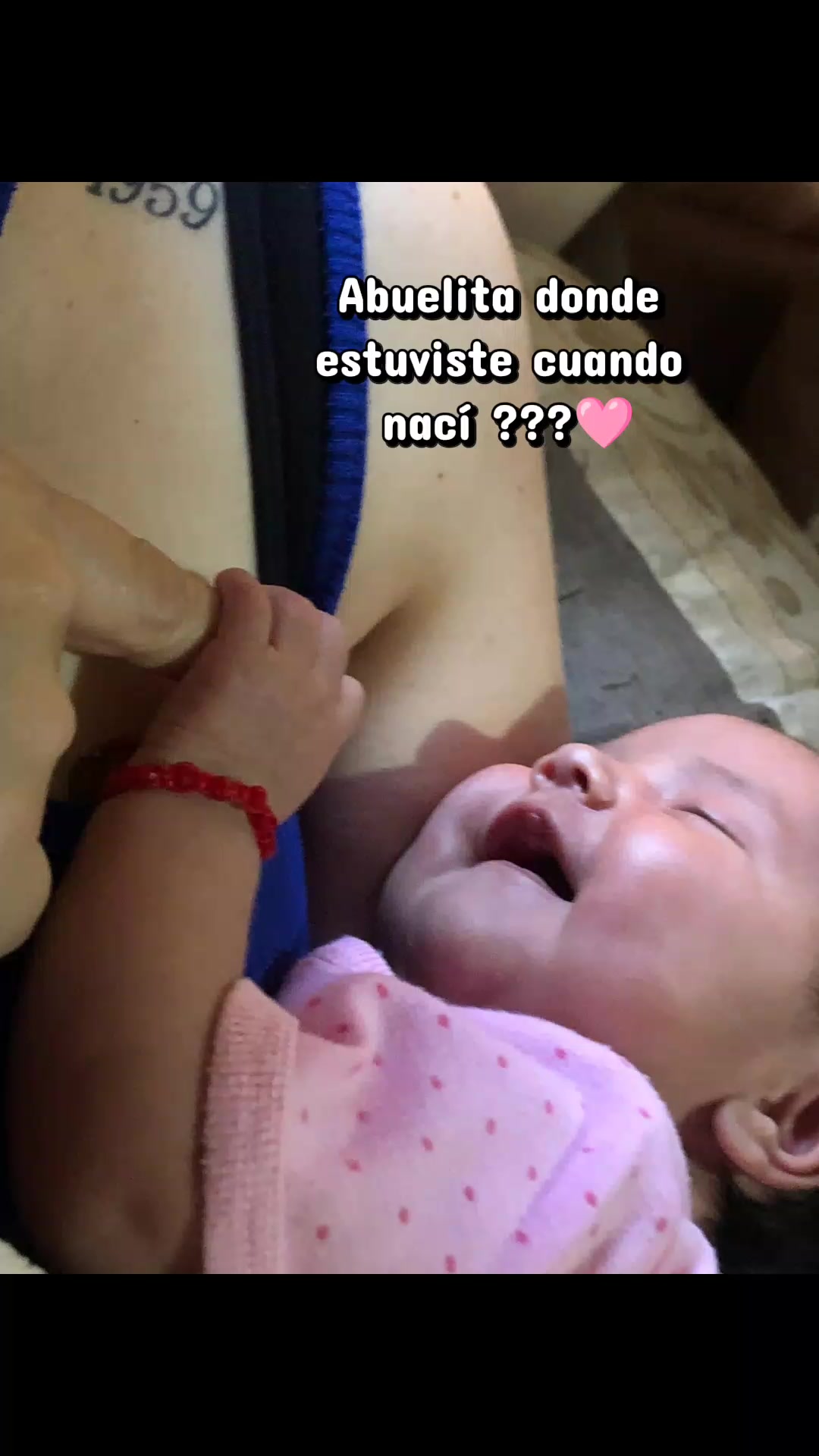 @OrNelass Arianna