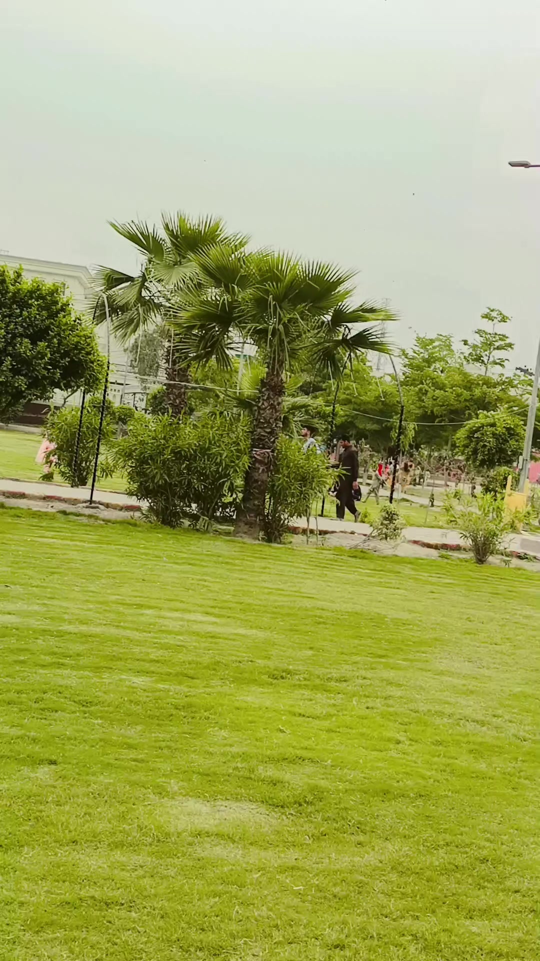 @𝘼❤&zwj;🩹                  کمالیہ