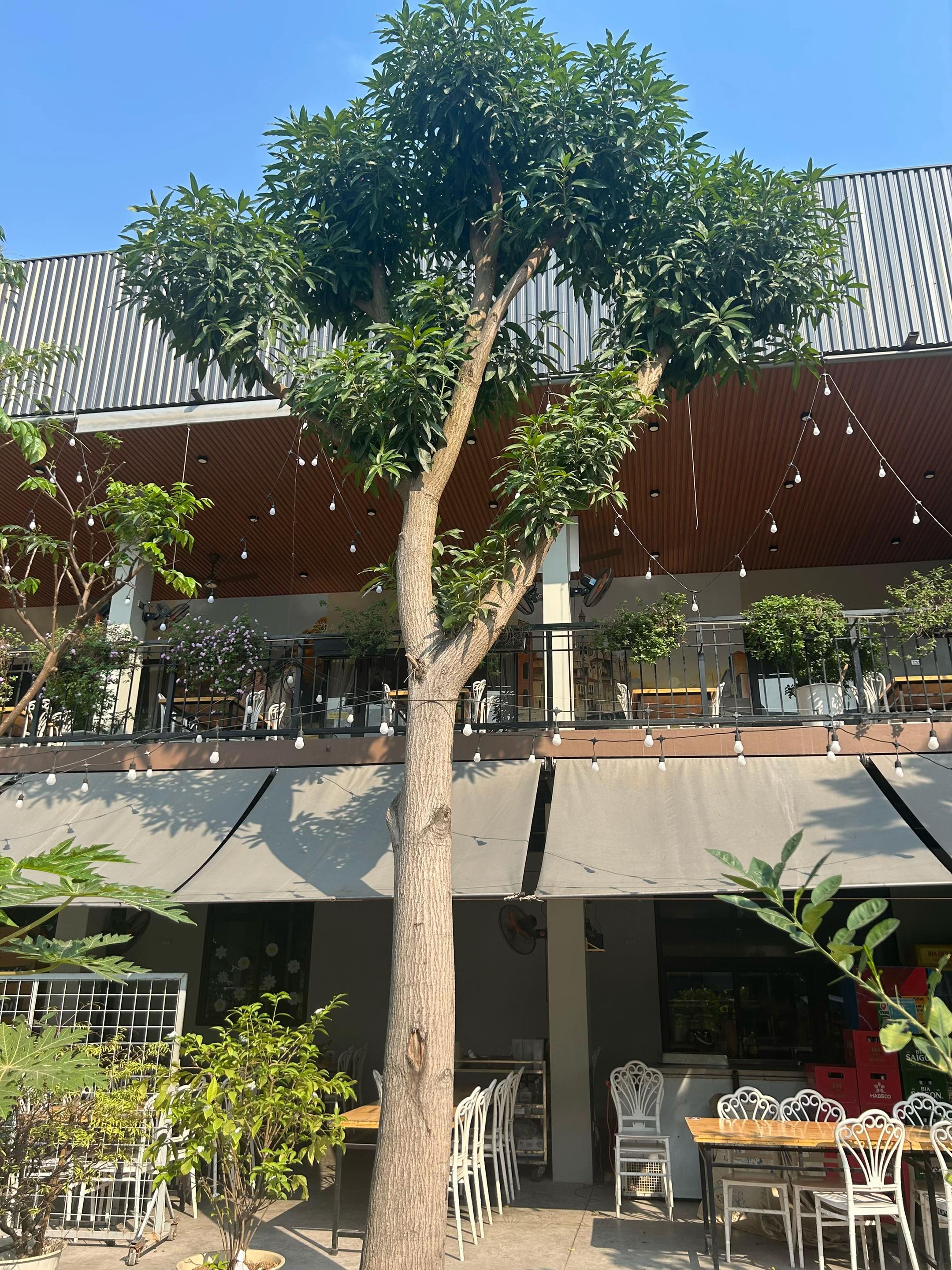 @Hải Dương