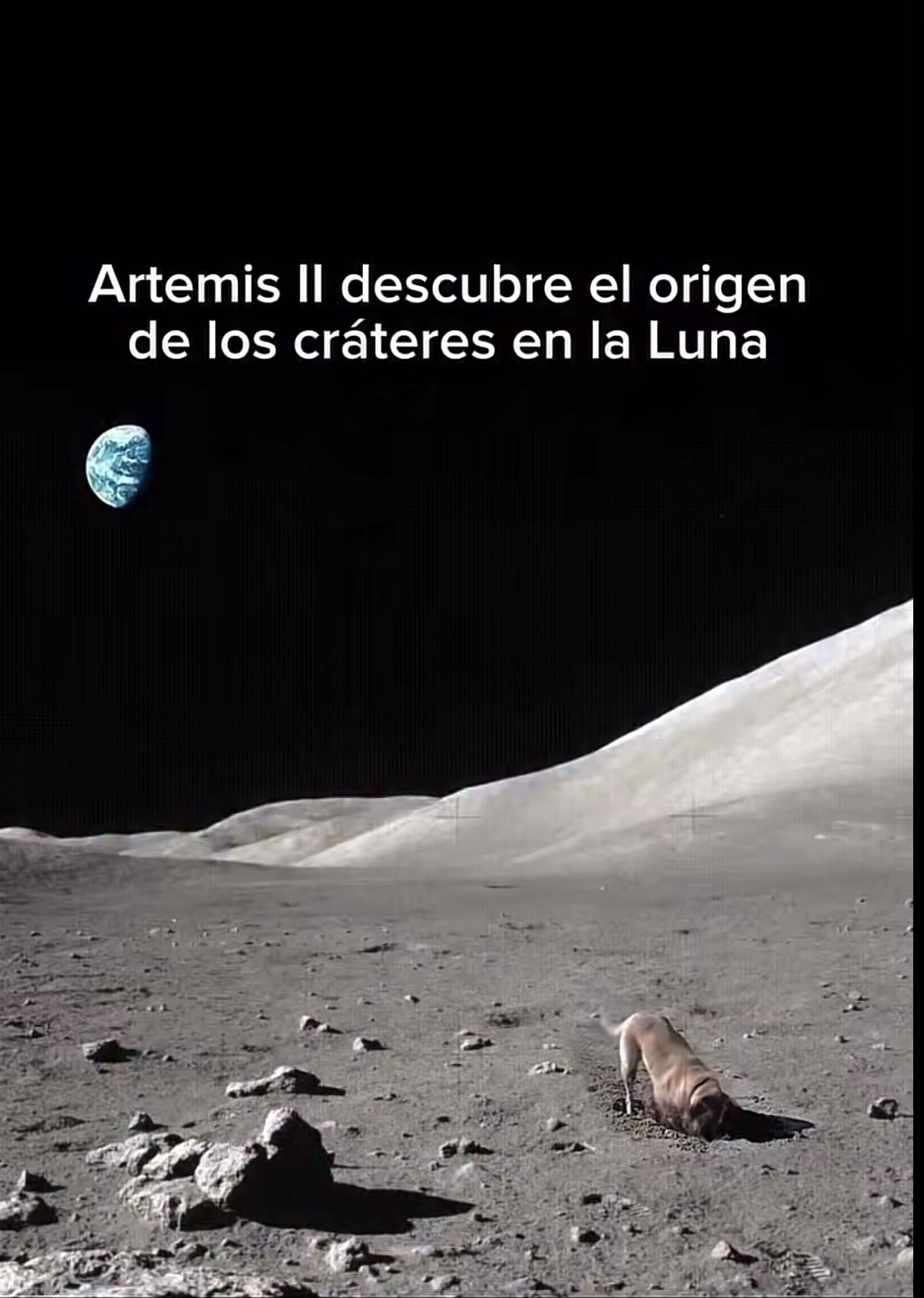 @tellebarajas