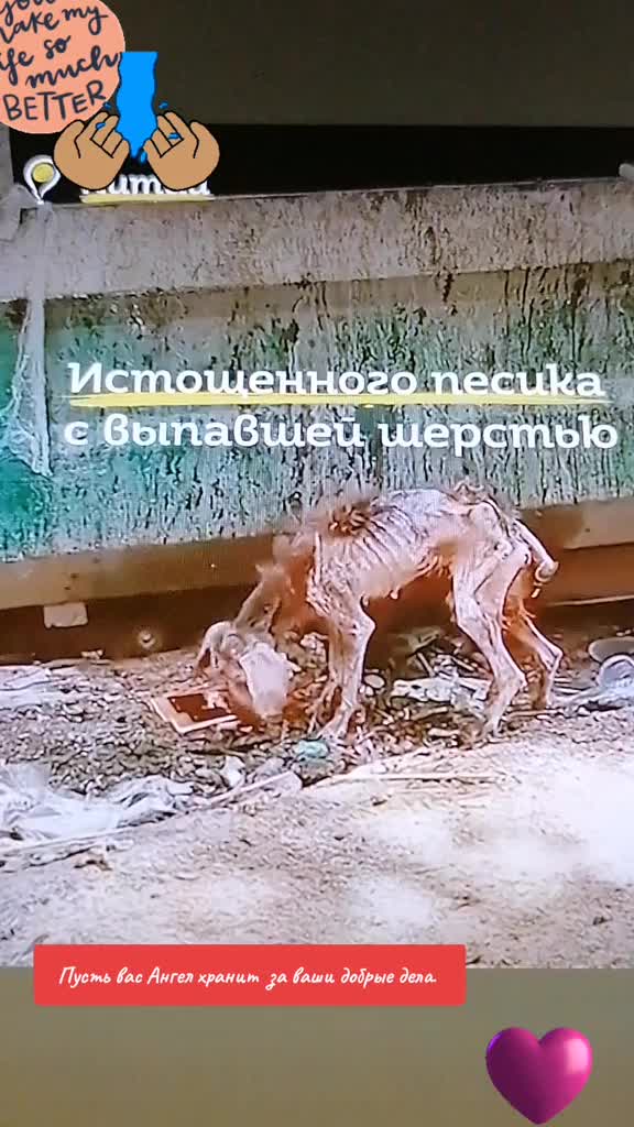 @S.М.