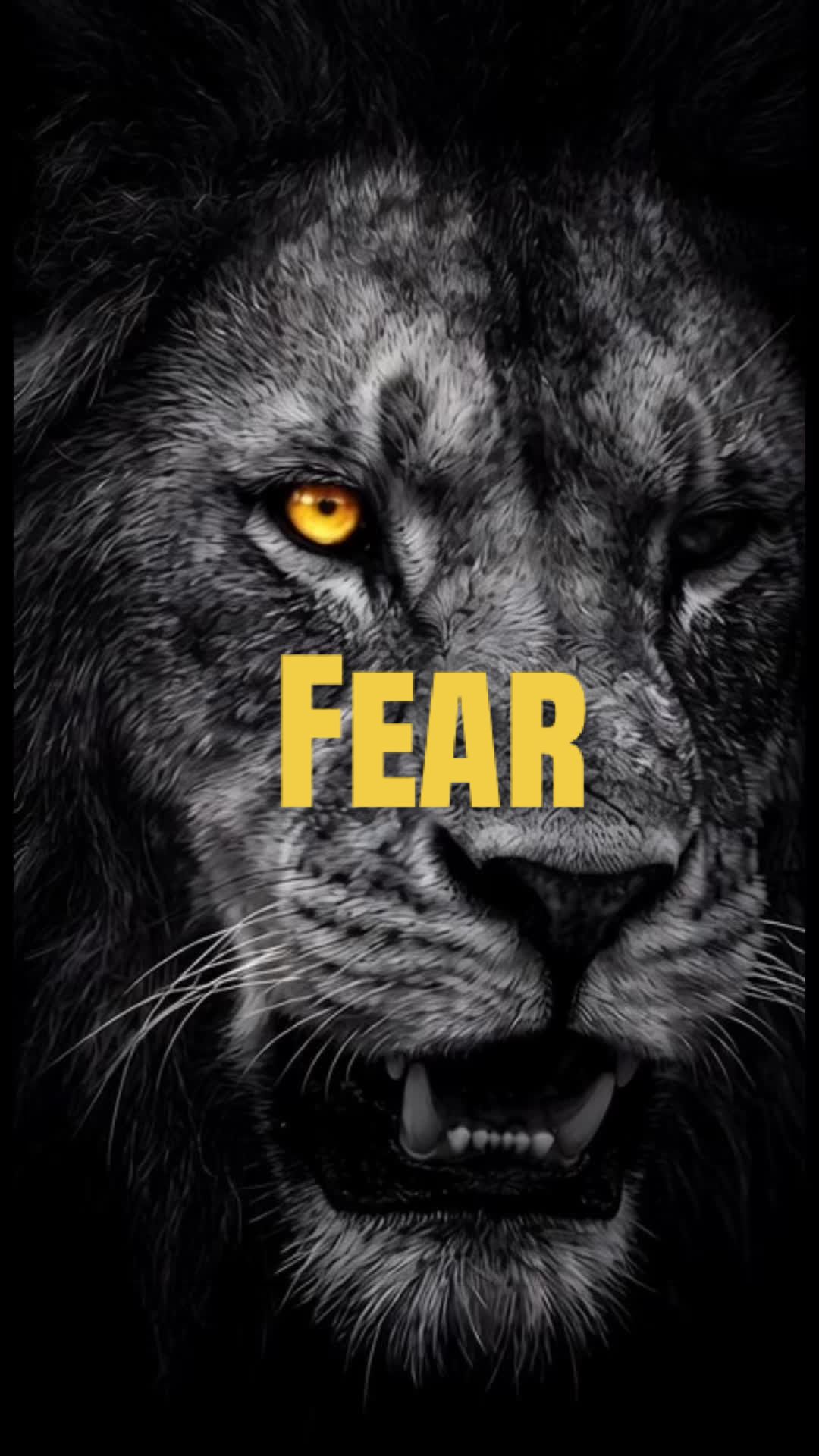 @Rise.and.dominate