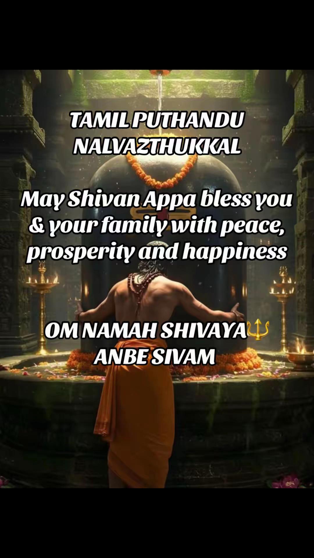 @Rudraksha Empire