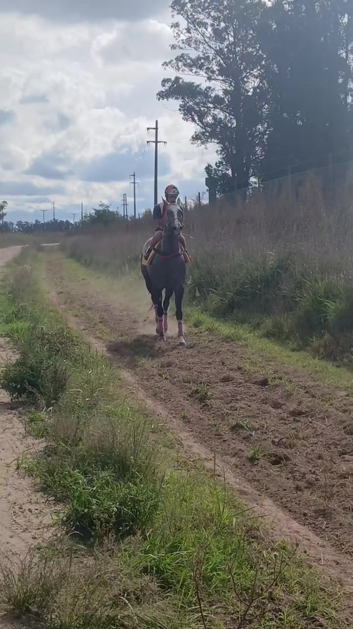 @Soledad Gigena 🏇&hearts;️