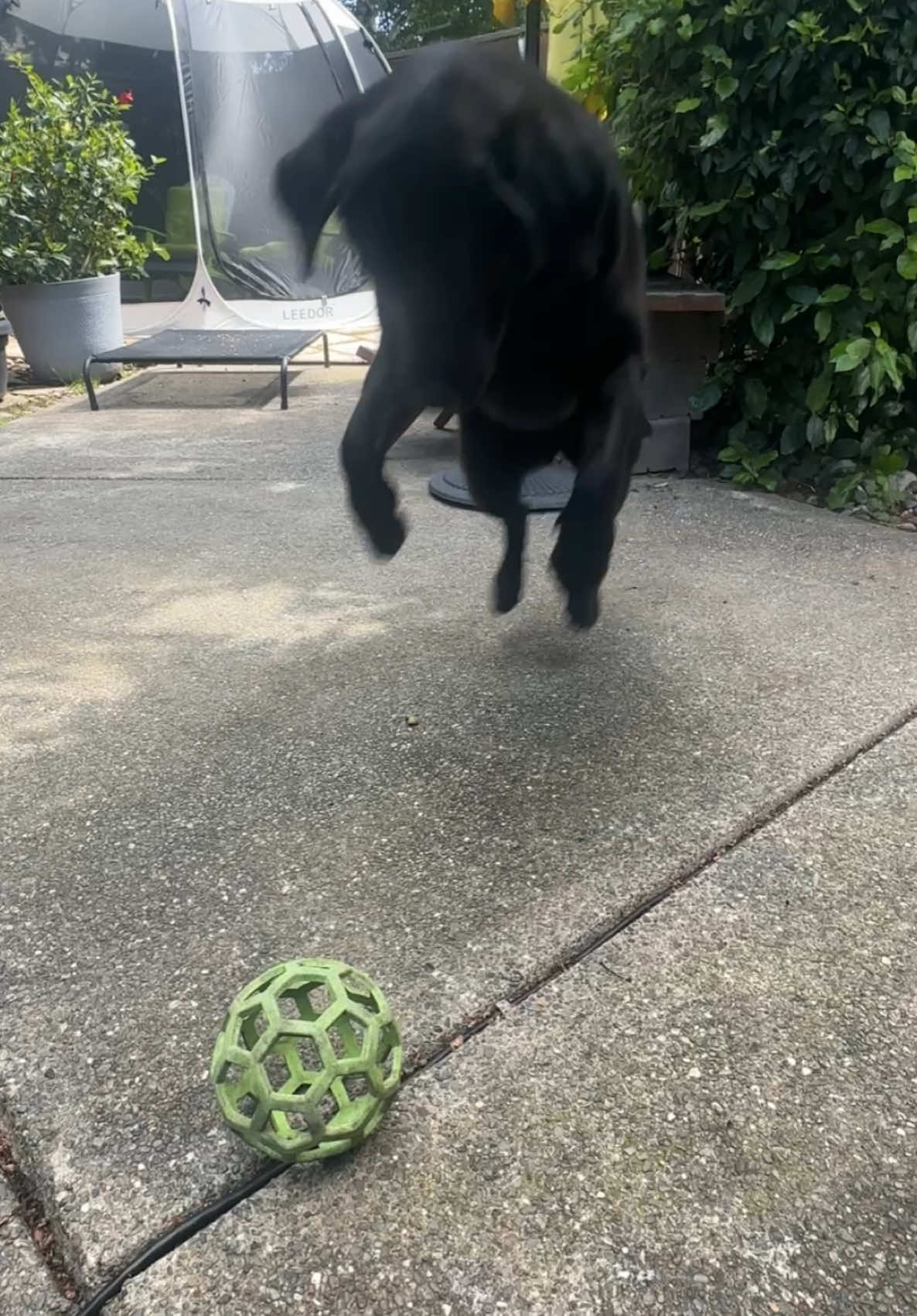 @Few-Zee❌