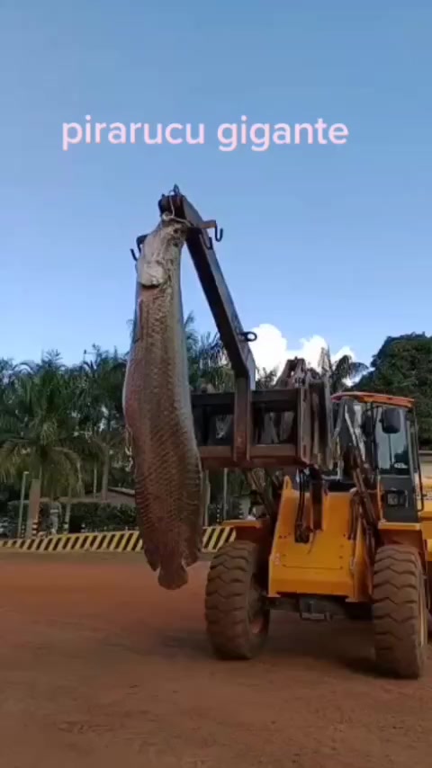 @Cocalinho Rio Araguaia