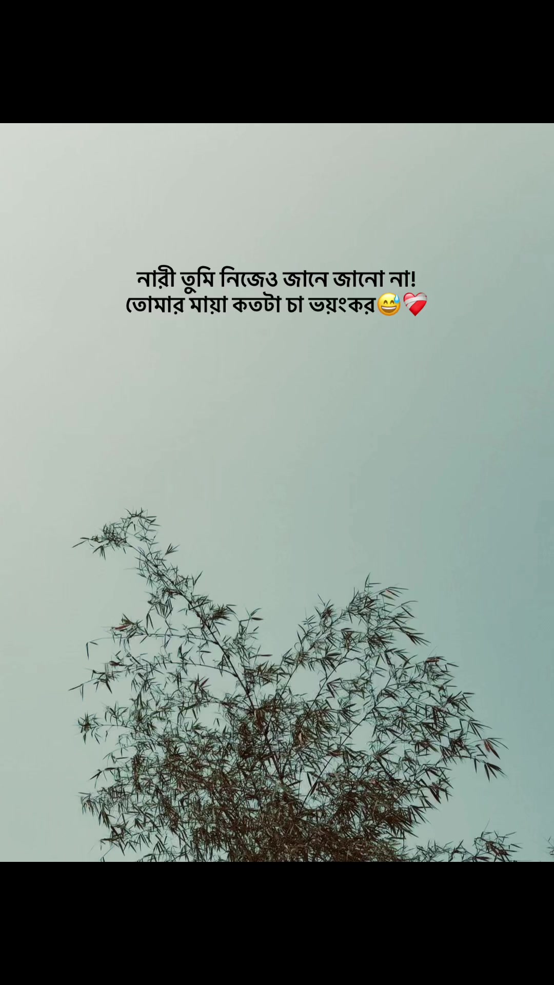 @🔰.ধর্ষিত...কলিজা.JT🔰