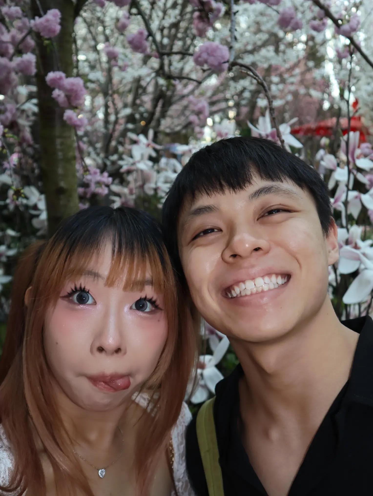 @vera&ensp;(◍&bull;ᴗ&bull;◍)✧*。