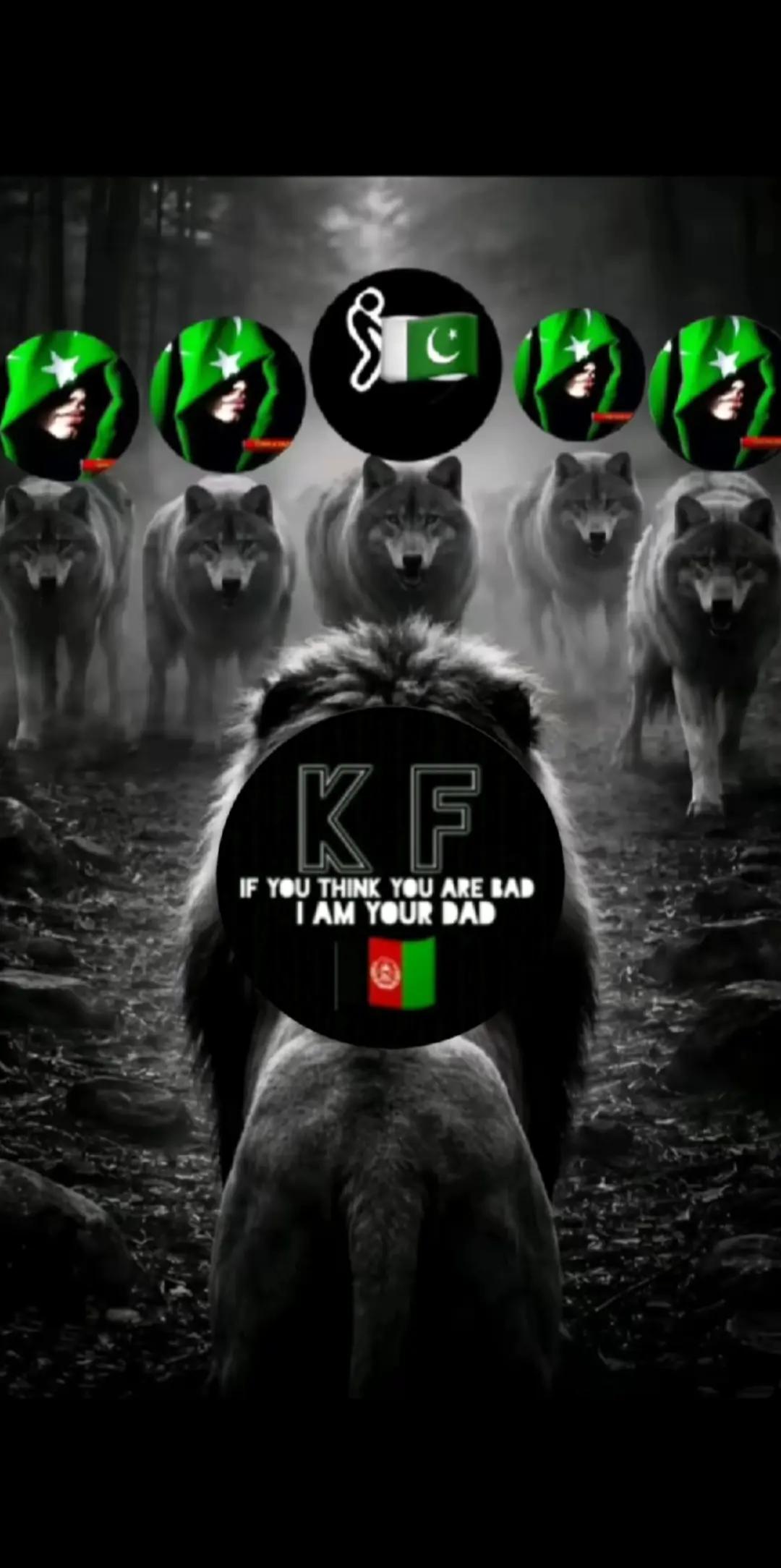@KF &bull; Kaihan🇦🇫