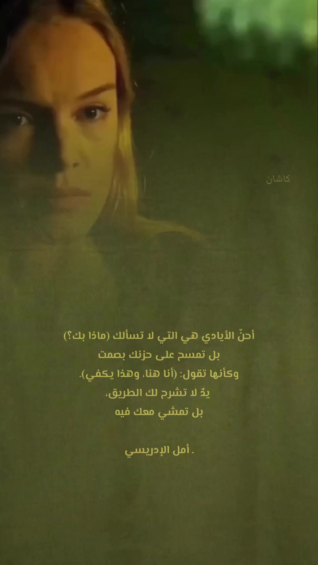 @kashin_02