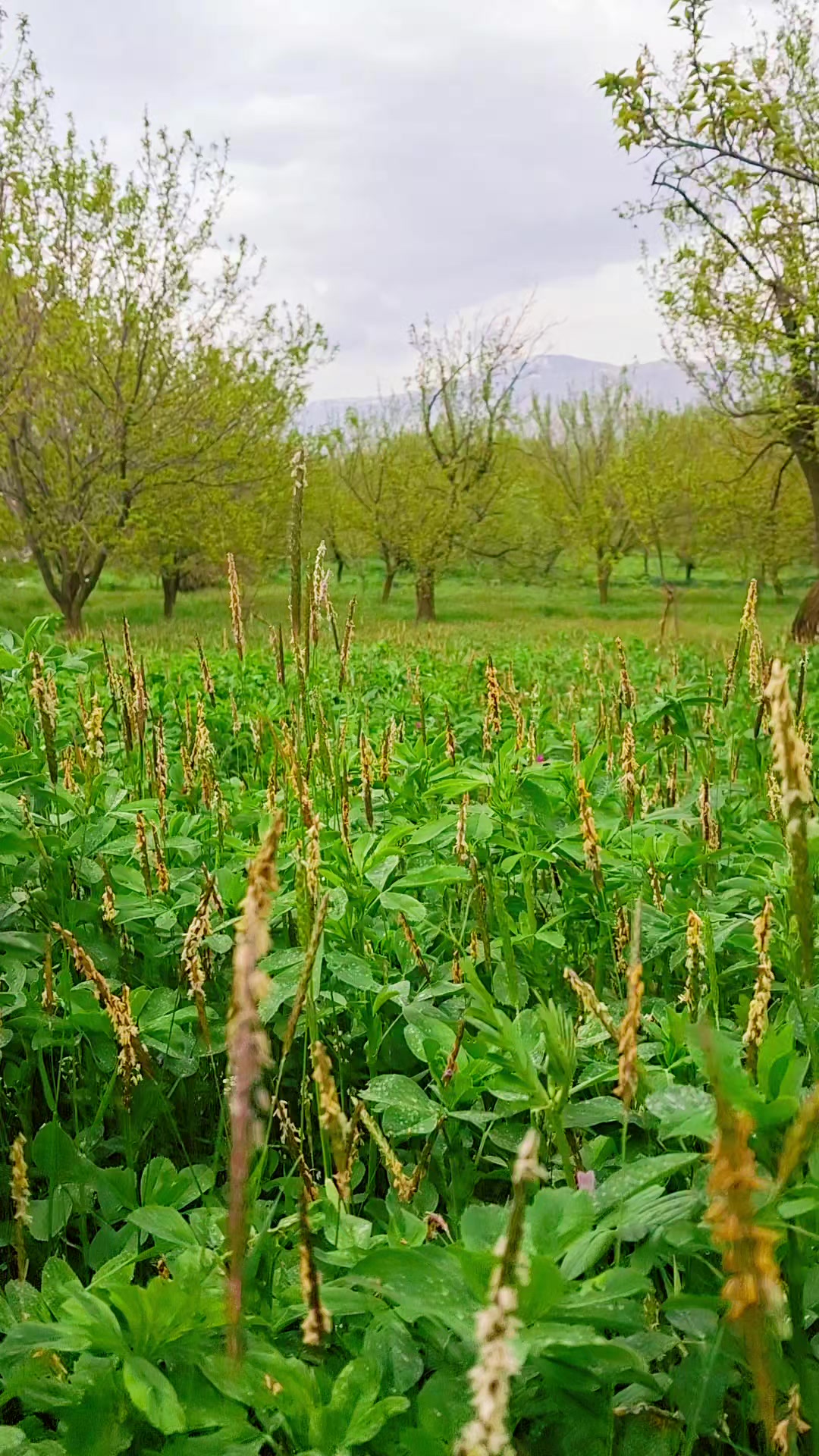 @Ebubekir adıyaman