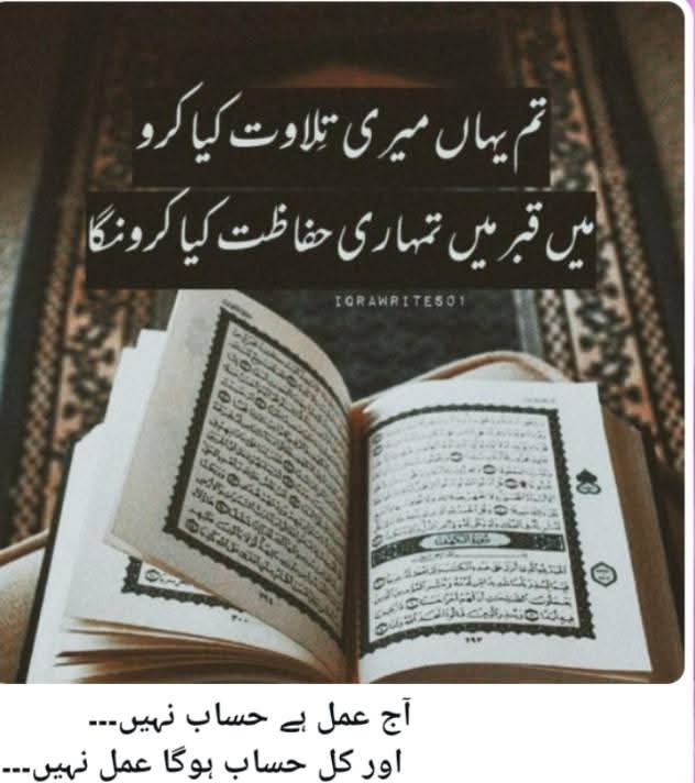 @ch imran shabbir official✅️