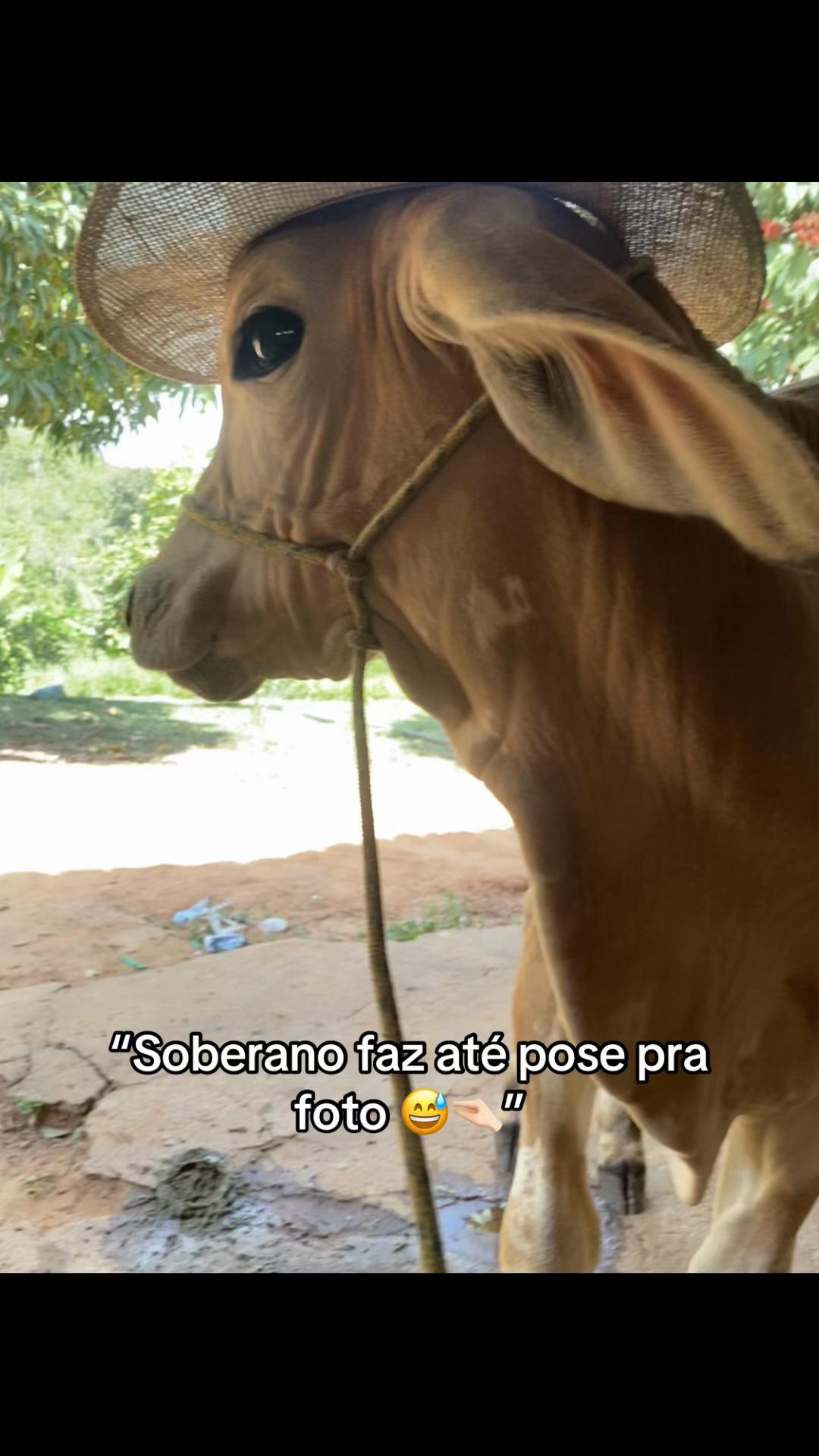 @Sabrina campos