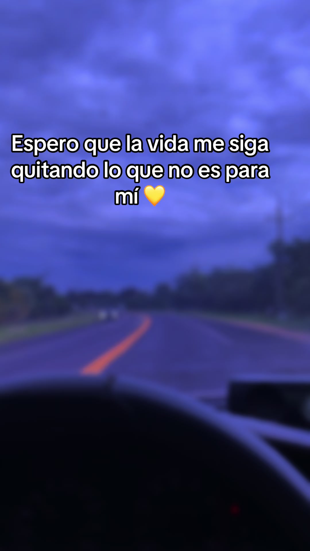 @Karen Brizuela 💛