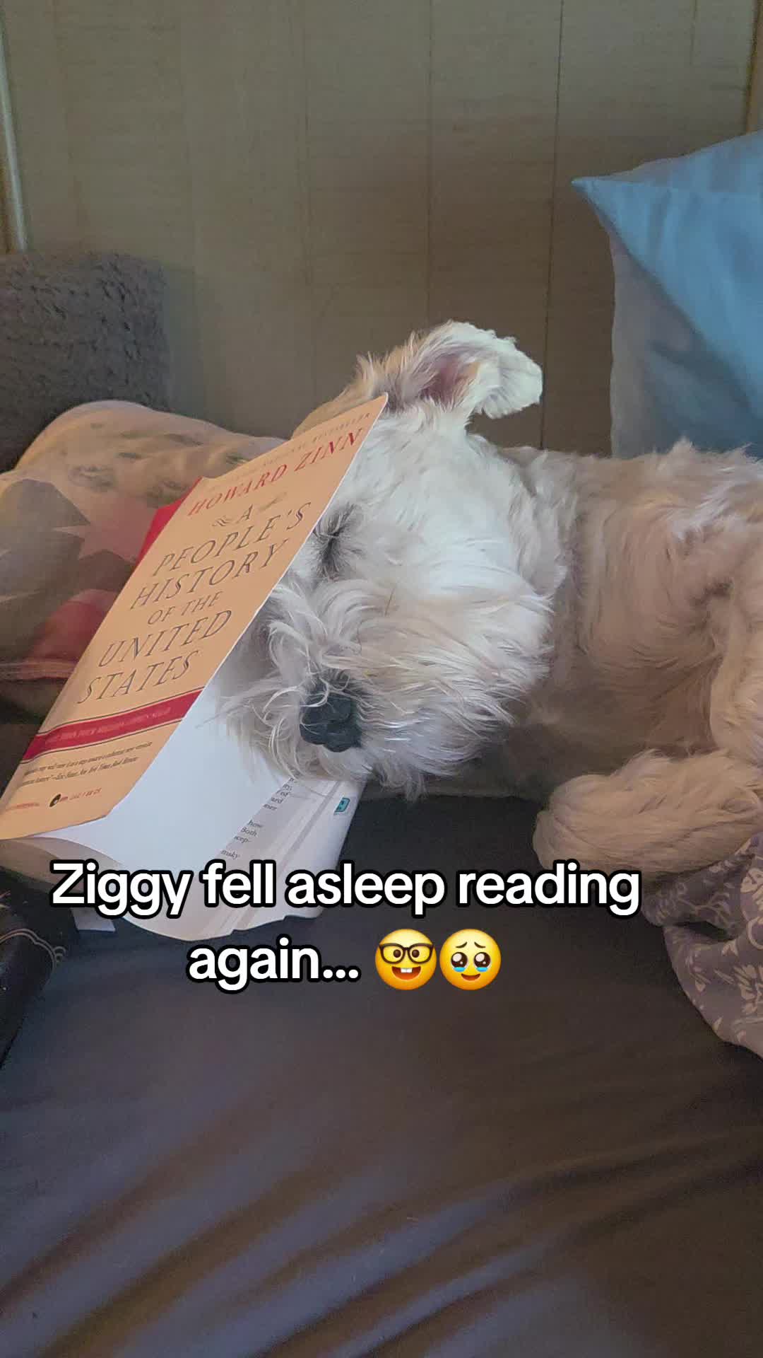 @Its.Ziggy.Stardust