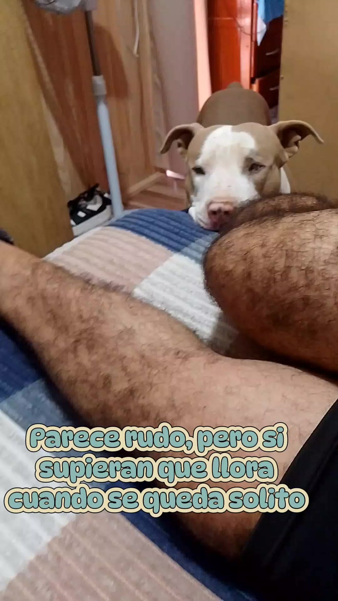 @Bibi 💙🇦🇷