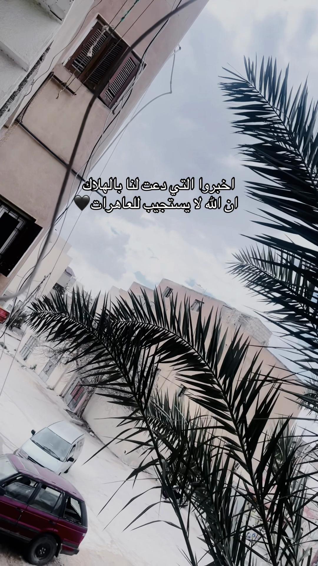 @𝑺𝑯𝑬𝑯𝑨𝑩 🖤🇱🇾
